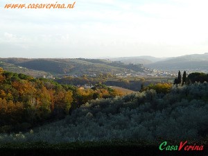panorama1    